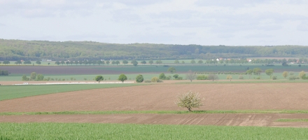 Die Fläche der Gemeinde Schellerten ist um rund 13 000 Quadratmeter gewachsen (Foto: Gemeinde Schellerten)