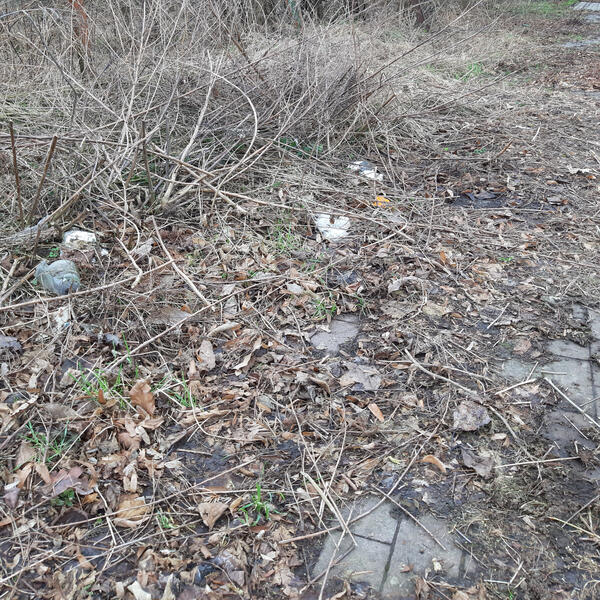 Verm�llter, zugewachsener Gehweg