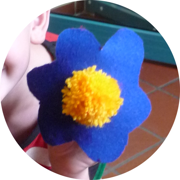 Pompon-Blume